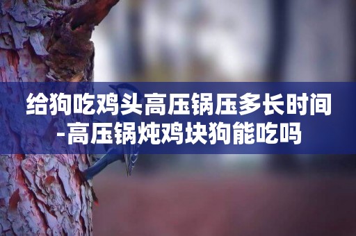 給狗吃雞頭高壓鍋壓多長時間-高壓鍋燉雞塊狗能吃嗎