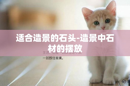 適合造景的石頭-造景中石材的擺放