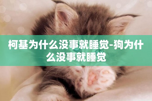 柯基為什么沒事就睡覺-狗為什么沒事就睡覺