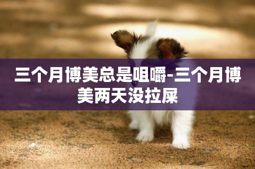 三個月博美總是咀嚼-三個月博美兩天沒拉屎