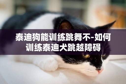 泰迪狗能訓練跳舞不-如何訓練泰迪犬跳越障礙