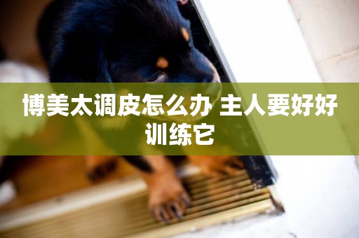 博美太調皮怎么辦 主人要好好訓練它