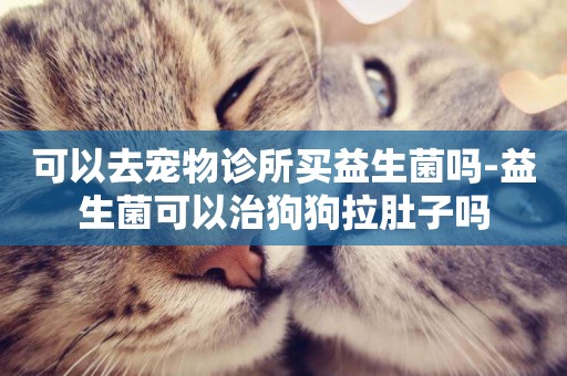 可以去寵物診所買益生菌嗎-益生菌可以治狗狗拉肚子嗎