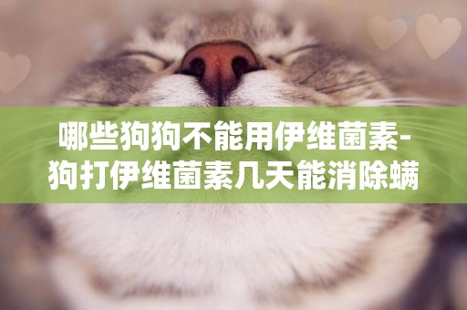哪些狗狗不能用伊維菌素-狗打伊維菌素幾天能消除螨蟲