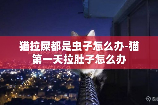 貓拉屎都是蟲子怎么辦-貓第一天拉肚子怎么辦