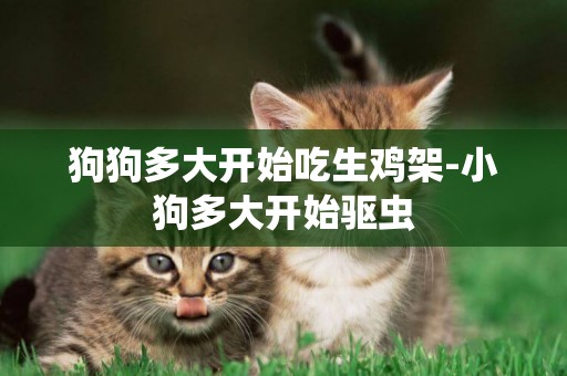 狗狗多大開始吃生雞架-小狗多大開始驅蟲