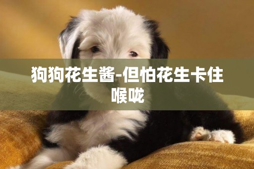 狗狗花生醬-但怕花生卡住喉嚨