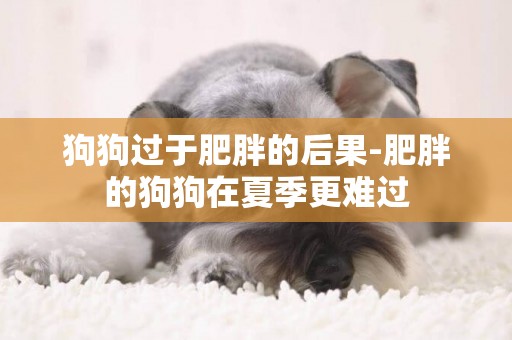 狗狗過于肥胖的后果-肥胖的狗狗在夏季更難過