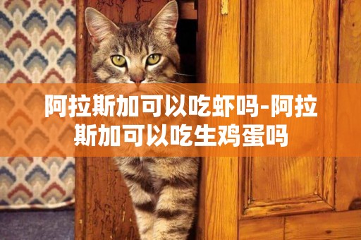 阿拉斯加可以吃蝦嗎-阿拉斯加可以吃生雞蛋嗎