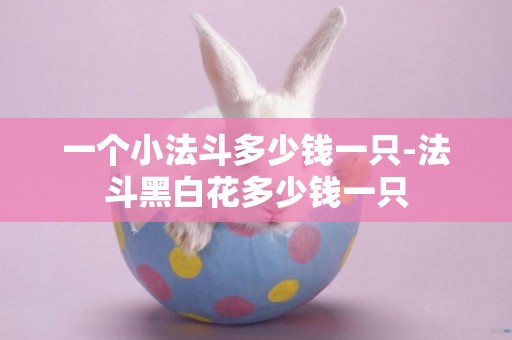 一個小法斗多少錢一只-法斗黑白花多少錢一只