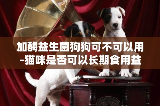 加酶益生菌狗狗可不可以用-貓咪是否可以長期食用益生菌