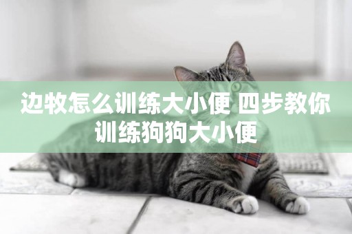 邊牧怎么訓練大小便 四步教你訓練狗狗大小便