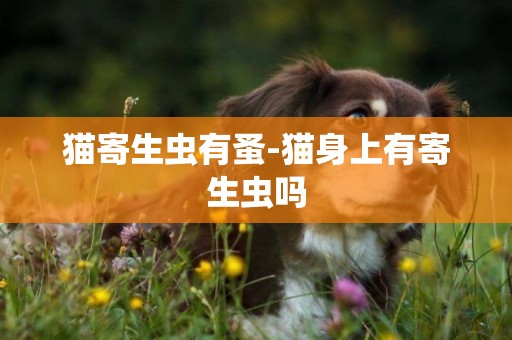 貓寄生蟲有蚤-貓身上有寄生蟲嗎