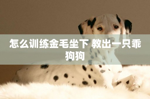 怎么訓練金毛坐下 教出一只乖狗狗