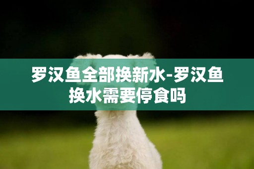 羅漢魚全部換新水-羅漢魚換水需要停食嗎