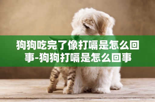 狗狗吃完了像打嗝是怎么回事-狗狗打嗝是怎么回事