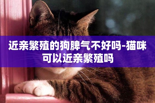 近親繁殖的狗脾氣不好嗎-貓咪可以近親繁殖嗎