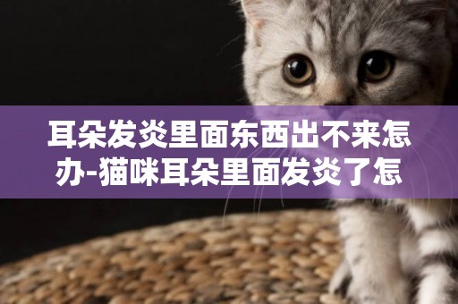 耳朵發炎里面東西出不來怎辦-貓咪耳朵里面發炎了怎么辦