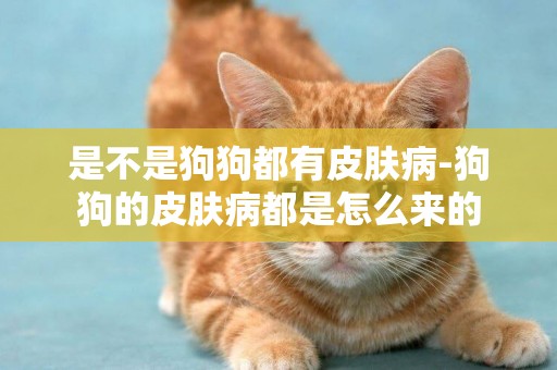 是不是狗狗都有皮膚病-狗狗的皮膚病都是怎么來的