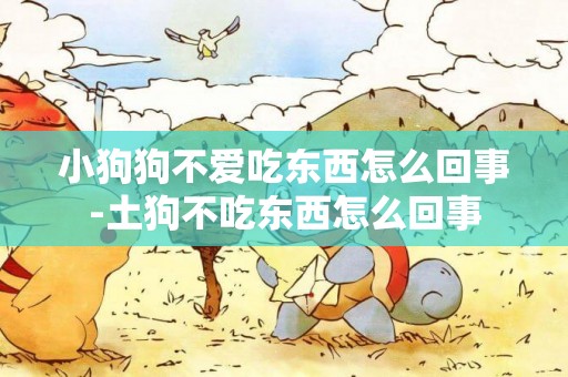 小狗狗不愛吃東西怎么回事-土狗不吃東西怎么回事