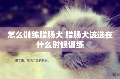 怎么訓練臘腸犬 臘腸犬該選在什么時候訓練