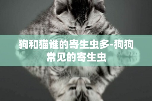 狗和貓誰的寄生蟲多-狗狗常見的寄生蟲