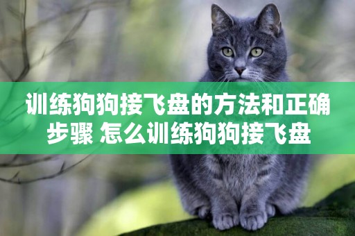 訓練狗狗接飛盤的方法和正確步驟 怎么訓練狗狗接飛盤