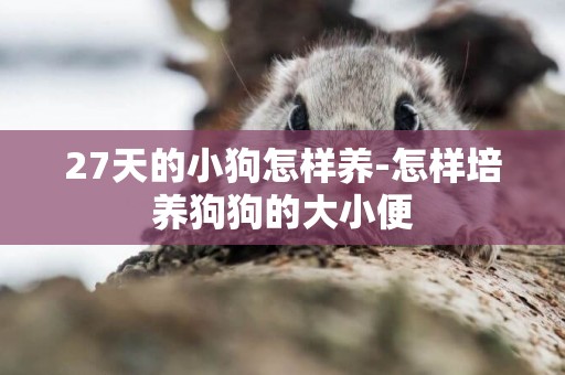 27天的小狗怎樣養-怎樣培養狗狗的大小便