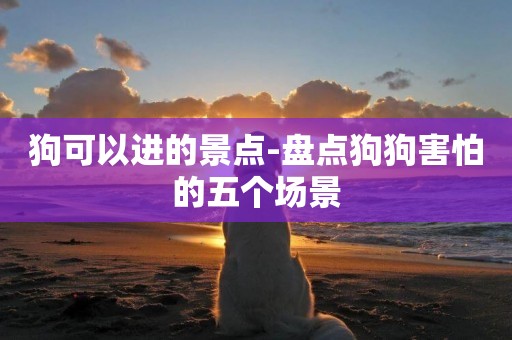狗可以進的景點-盤點狗狗害怕的五個場景