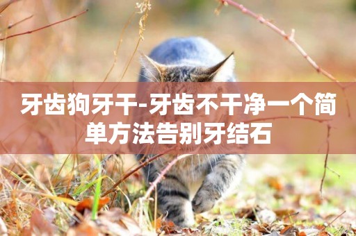 牙齒狗牙干-牙齒不干凈一個簡單方法告別牙結石