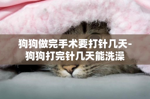 狗狗做完手術要打針幾天-狗狗打完針幾天能洗澡
