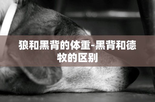 狼和黑背的體重-黑背和德牧的區別