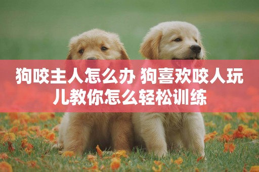 狗咬主人怎么辦 狗喜歡咬人玩兒教你怎么輕松訓練 狗咬主人怎么辦 狗喜歡咬人玩兒教你怎么輕松訓練