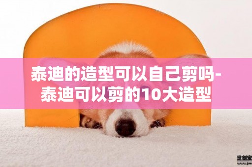 泰迪的造型可以自己剪嗎-泰迪可以剪的10大造型