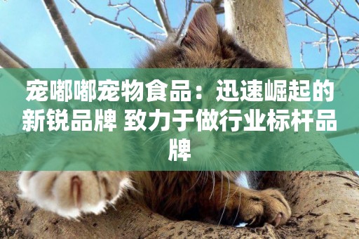 寵嘟嘟寵物食品：迅速崛起的新銳品牌 致力于做行業標桿品牌