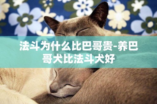 法斗為什么比巴哥貴-養巴哥犬比法斗犬好