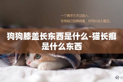 狗狗膝蓋長東西是什么-貓長癬是什么東西