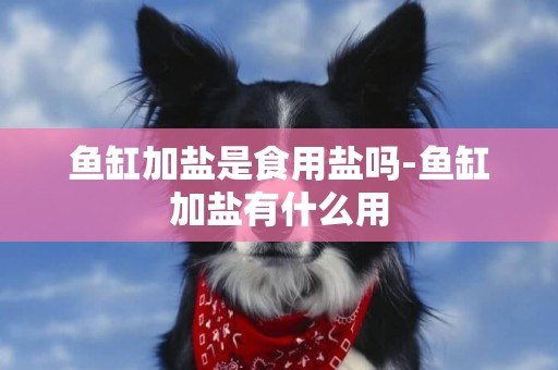 魚缸加鹽是食用鹽嗎-魚缸加鹽有什么用