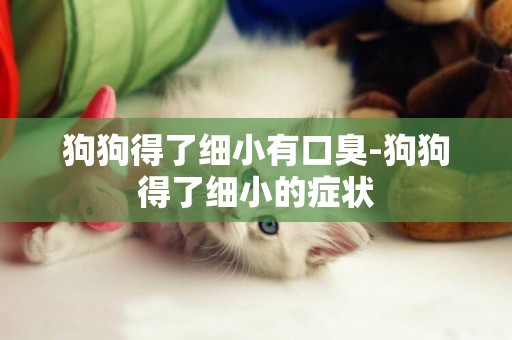 狗狗得了細小有口臭-狗狗得了細小的癥狀