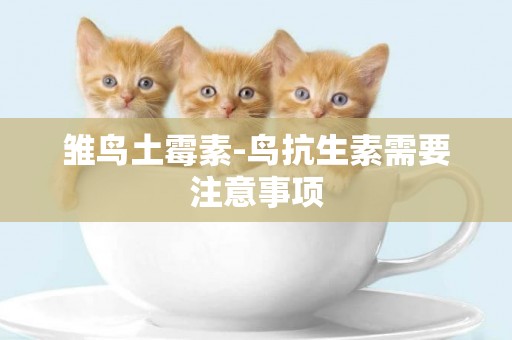 雛鳥土霉素-鳥抗生素需要注意事項