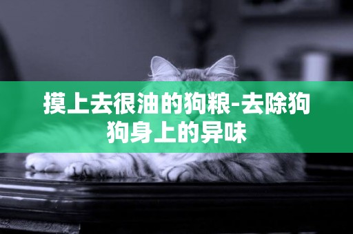 摸上去很油的狗糧-去除狗狗身上的異味