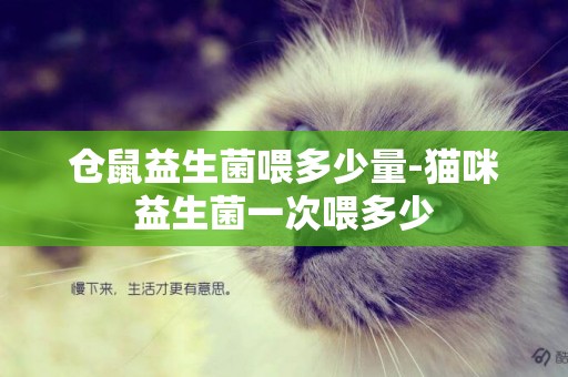倉鼠益生菌喂多少量-貓咪益生菌一次喂多少