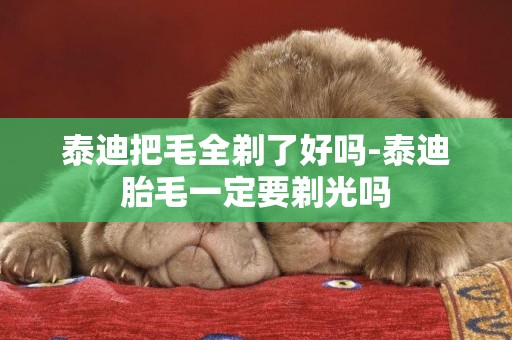 泰迪把毛全剃了好嗎-泰迪胎毛一定要剃光嗎