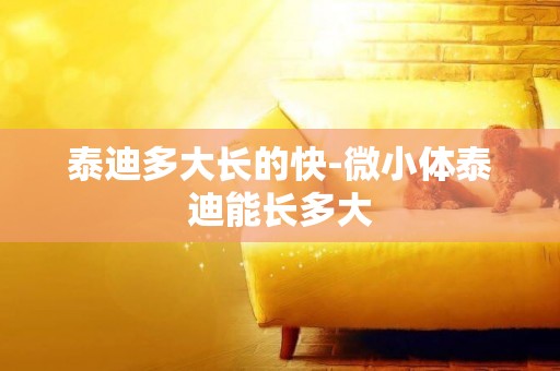 泰迪多大長的快-微小體泰迪能長多大