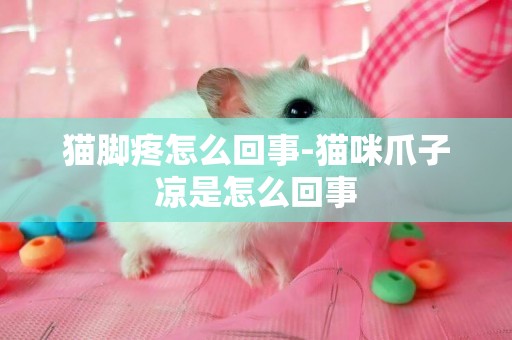 貓腳疼怎么回事-貓咪爪子涼是怎么回事