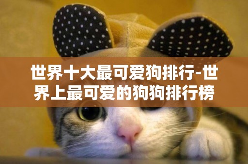 世界十大最可愛狗排行-世界上最可愛的狗狗排行榜