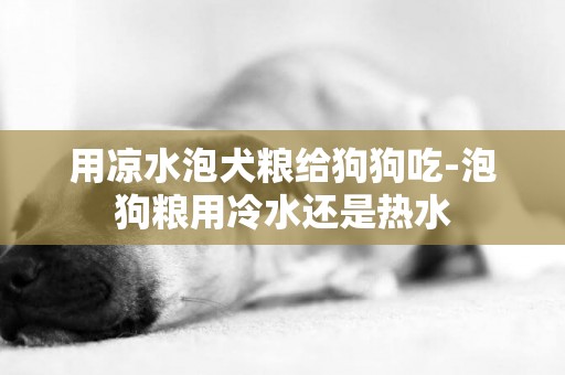 用涼水泡犬糧給狗狗吃-泡狗糧用冷水還是熱水