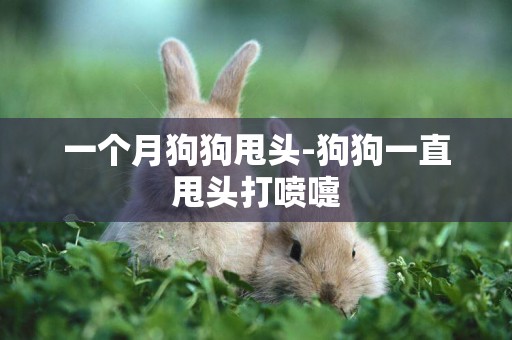 一個月狗狗甩頭-狗狗一直甩頭打噴嚏