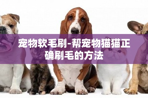 寵物軟毛刷-幫寵物貓貓正確刷毛的方法