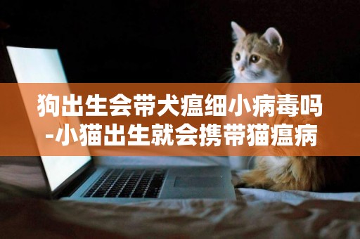 狗出生會帶犬瘟細小病毒嗎-小貓出生就會攜帶貓瘟病毒嗎